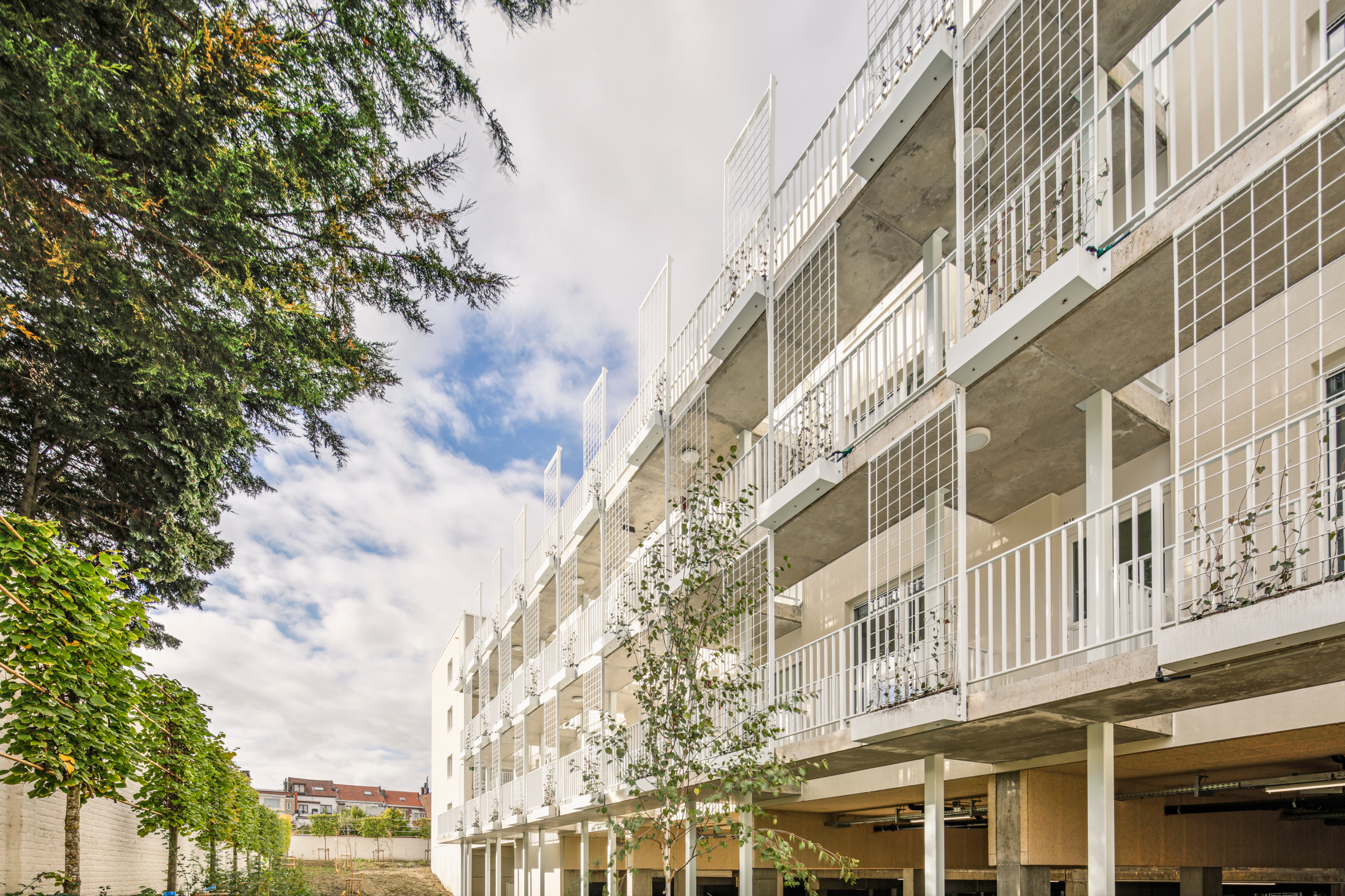 Central Gardens by iON_20201021_004_©EricBouvier